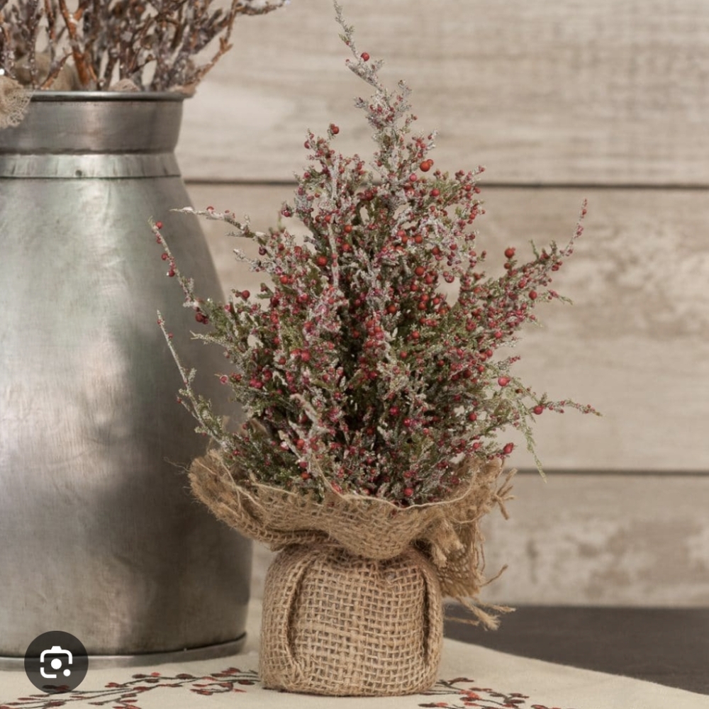 Primitive Cedar and Berry Sapling Tree
